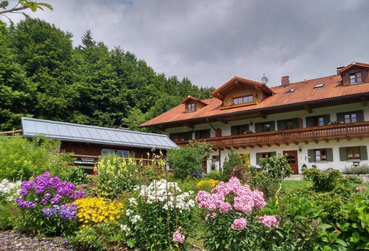 Haus Jaegerfleck, Ihre Ferienwohnungen Am Nationalpark Bayerischer Wald Spiegelau Luaran gambar